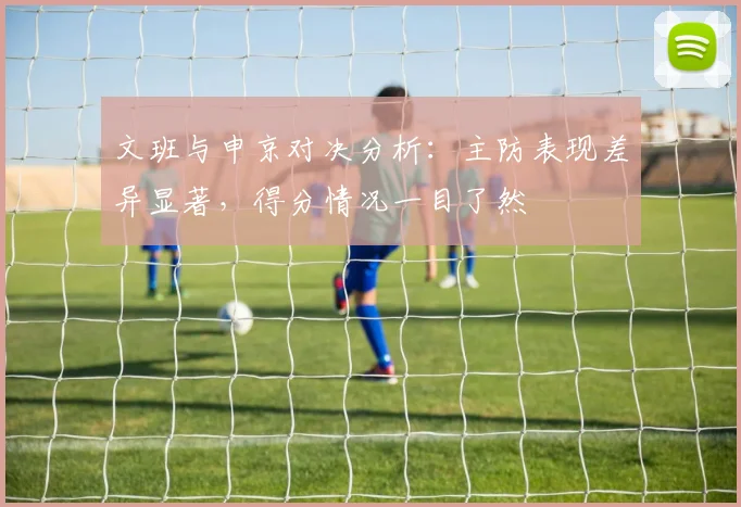 文班与申京对决分析：主防表现差异显著，得分情况一目了然