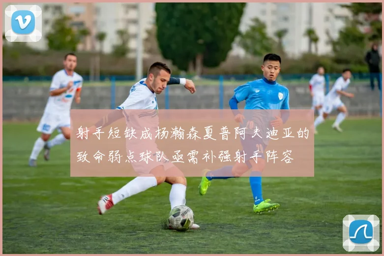 射手短缺成杨瀚森夏普阿夫迪亚的致命弱点球队亟需补强射手阵容