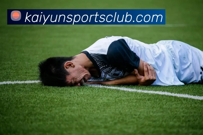 开云体育APP 封面图